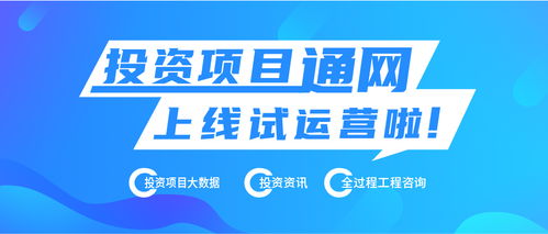 热烈庆祝投资项目通网上线试运营 让天下投资项目快速顺利落地