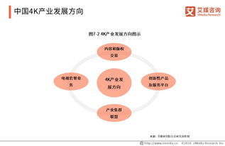 2019中国4k产业研究与商业投资决策分析报告