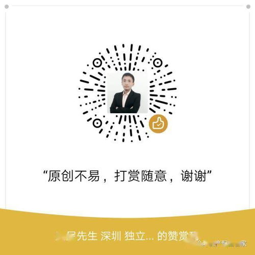 桑尼先生的付费理财咨询服务